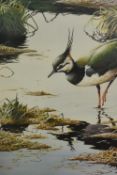 After Terance James Bond (British, b.1946), coloured print, Lapwing, framed, mounted, and under