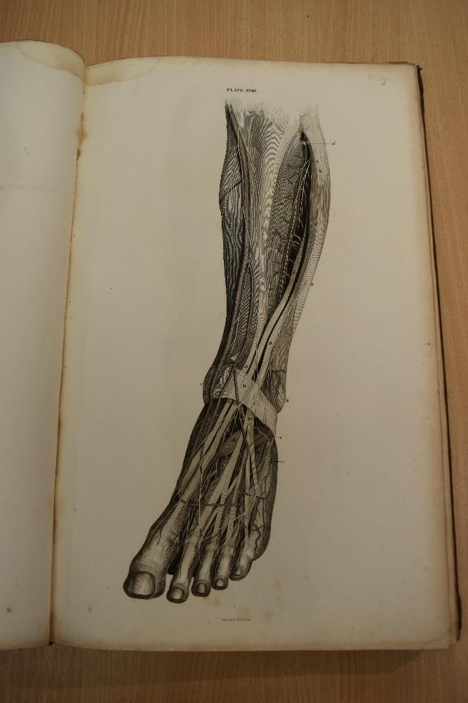 Antiquarian. Anatomy. Lizars, John - A System of Anatomical Plates of the Human Body, Accompanied - Image 11 of 20