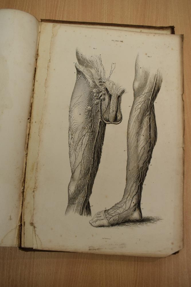 Antiquarian. Anatomy. Lizars, John - A System of Anatomical Plates of the Human Body, Accompanied - Image 20 of 20