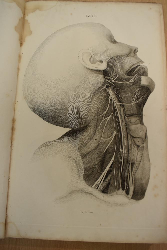 Antiquarian. Anatomy. Lizars, John - A System of Anatomical Plates of the Human Body, Accompanied - Image 9 of 20