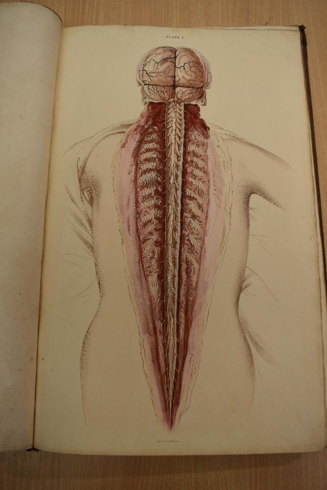 Antiquarian. Anatomy. Lizars, John - A System of Anatomical Plates of the Human Body, Accompanied - Image 13 of 20