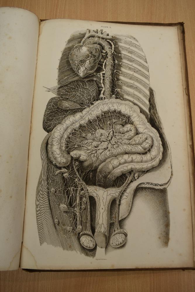 Antiquarian. Anatomy. Lizars, John - A System of Anatomical Plates of the Human Body, Accompanied - Image 19 of 20