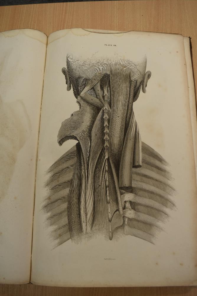 Antiquarian. Anatomy. Lizars, John - A System of Anatomical Plates of the Human Body, Accompanied - Image 12 of 20