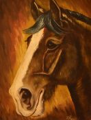 F.Haworth (20th Century, British), oil on canvas, A head portrait of a horse against an auburn