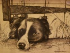 After Pollyanna Pickering (1942-2018), monochrome prints, Two illustrations of border collie dogs,