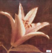 Artist Unknown (Contemporary), print on canvas, Lilly flower head against dark backdrop,