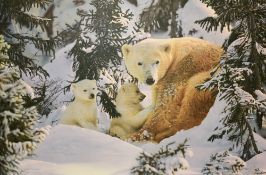 After Steven Townsend (b.1955), coloured print on canvas, 'Warmth of Nature', A polar bear and two