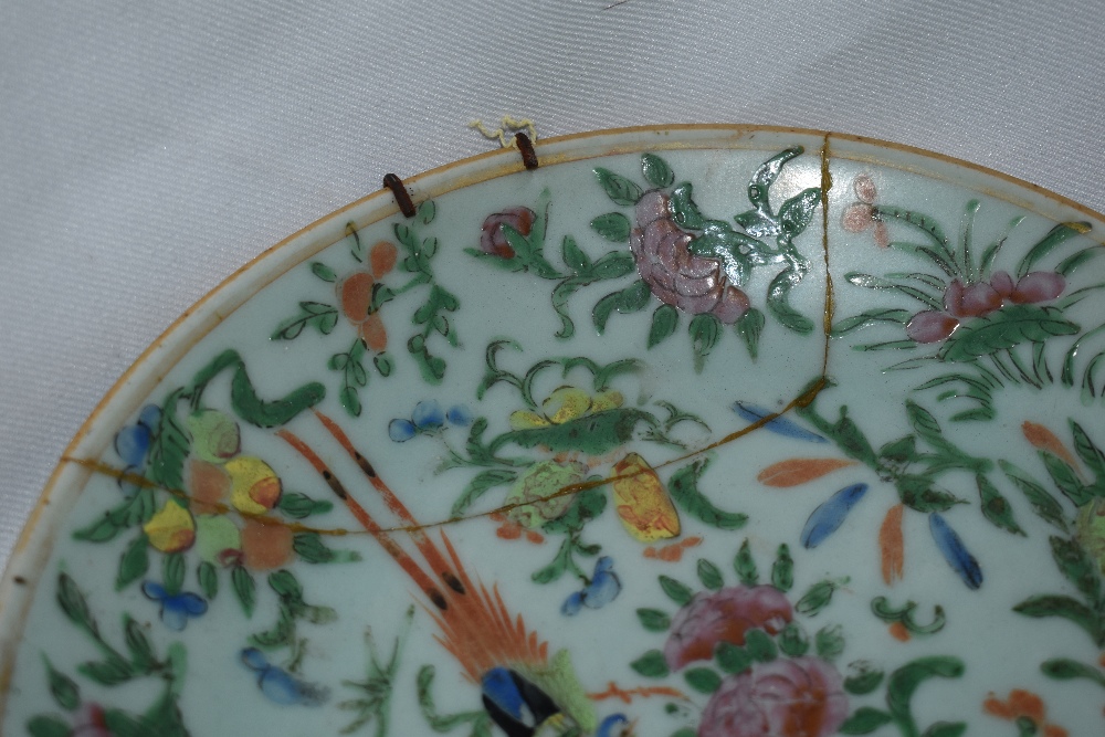 Two Chinese Famile rose palette Cantonese plates, having Celadon ground with colourful sprays of - Image 2 of 3
