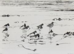 After W.Neill (20th Century), a monochrome print, 'Oystercatchers', signed to the lower right, a