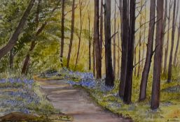 Margaret Williams (20th Century, British), a watercolour, 'Woodland Walk', a bluebell lined path,