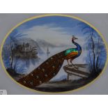 Continental School, A pair of hand painted enamelled peacocks within naturalistic settings,