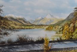 *Local Interest - Ron W. Lamb (20th Century, British), a watercolour, 'Low Wood, Windermere', signed