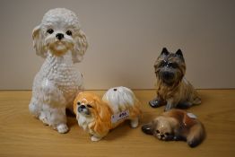 Four vintage dog studies, including Sylvac poodle 5031, Sylvac pomeranian, Sylvac cairn terrier,