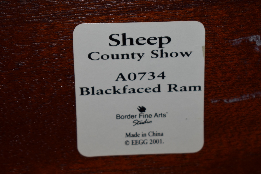 A Border Fine Arts study, Blackfaced Ram A0734. - Image 2 of 2