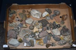 A box of specimens and minerals, to include fossils and quartz