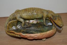 A taxidermy caiman mounted on an iridescent Paua shell, measuring 23cm long