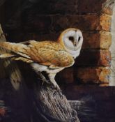 Unknown Artist, a coloured print, A barn owl within an interior setting, framed, mounted, and