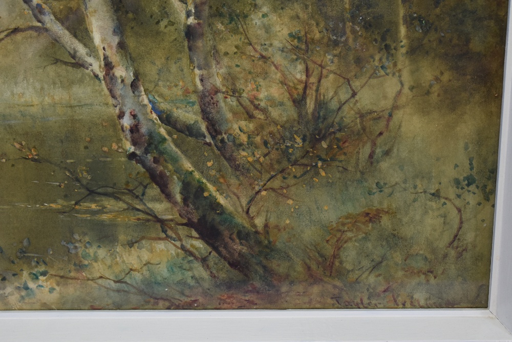 Thomas Tayler Ireland (b.1874, British), a pair of watercolours, Birch Trees, displayed within later - Image 6 of 6