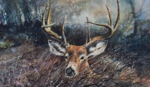 John MacDonald (20th Century, British), a watercolour, A stag within a bleak woodland setting,