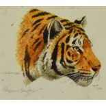 After Stephen Gayford (b.1954, British), two coloured prints, 'Indian Tiger' & 'Indian Tiger Cub',