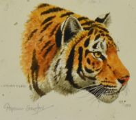 After Stephen Gayford (b.1954, British), two coloured prints, 'Indian Tiger' & 'Indian Tiger Cub',