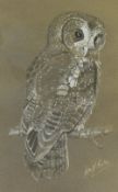 Rita J. Barton (20th Century), two chalk studies on paper, Portraits of owls, signed to the lower