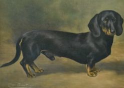 After Lilian Cheviot (c.1876-1936, British), a coloured print, 'The Daschund Earl Satin', framed,