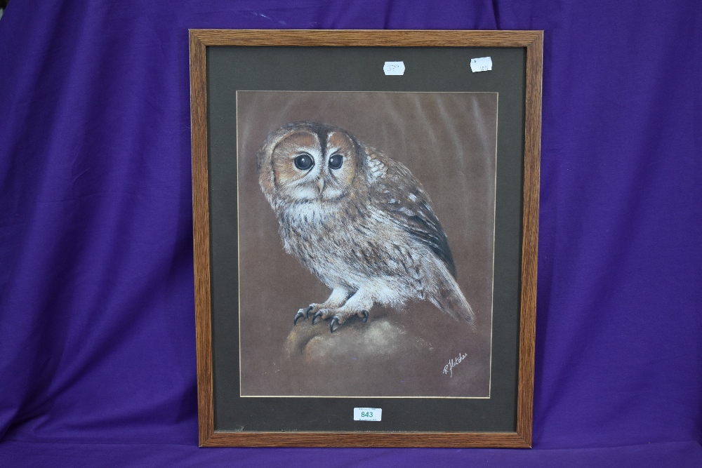 R. Fletcher (20th Century, British), a chalk study, A 'true' owl portrait, signed to the lower - Image 2 of 4