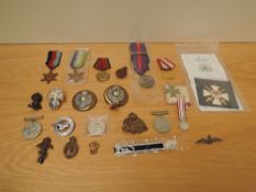 A collection of Military Badges including a pair of brass and white metal Horse Brasses 7th