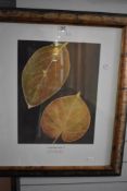 A contemporary poster print, 'Evolution I', two gold coloured leaves on black ground, framed and