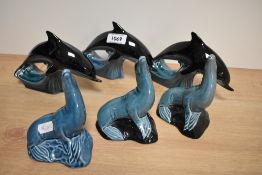 Six Poole animal studies, three dolphins and three seals