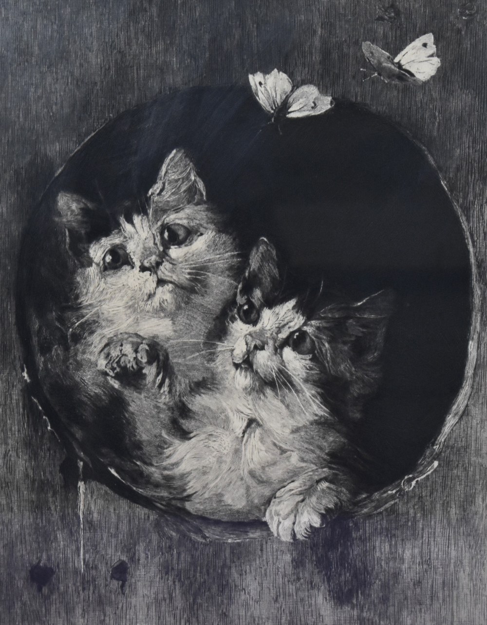 Artist Unknown, 19th/20th Century, a monochrome print, A portrait of kittens, framed, mounted, and