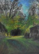 20th Century British School, a pastel, An avenue of trees underneath a blue sky, framed, mounted,