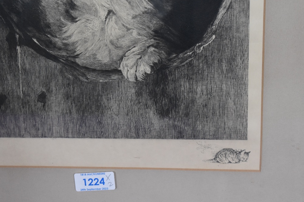 Artist Unknown, 19th/20th Century, a monochrome print, A portrait of kittens, framed, mounted, and - Image 3 of 3