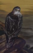 Ian Robert Pickvance (20th Century, British), an oil painting, A Bird of Prey within a