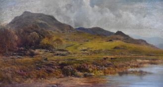 Alfred Walter Williams (1824-1905, British), an oil painting, 'On The Banks Of Llyn-Dinas North