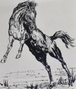 Artist Unknown (20th Century), pen and ink, A rearing horse, framed, mounted, and under glass,
