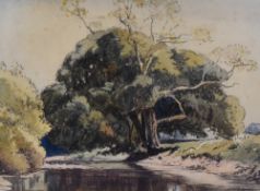 D.Dunn (20th Century, British), a mixed media watercolour, A serene river landscape, signed to the