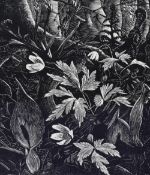 William ('Bill') Wild (1904-1985), a wood engraving, 'In Malham Woods', signed and dated 1966 to the