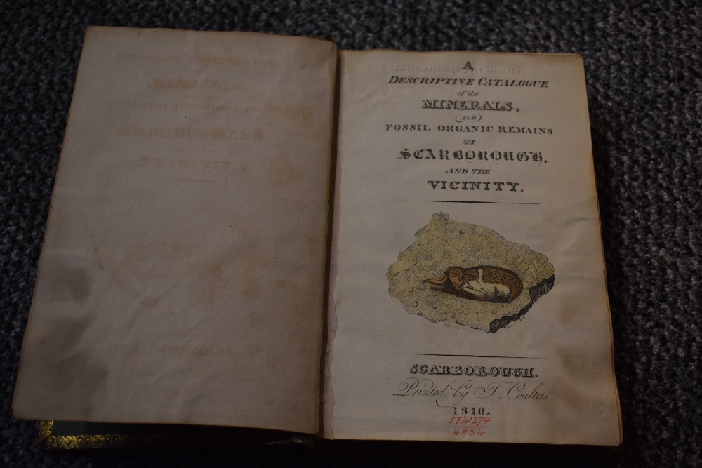 Antiquarian. A Descriptive Catalogue of the Minerals, and Fossil Organic Remains of Scarborough, and - Image 3 of 13