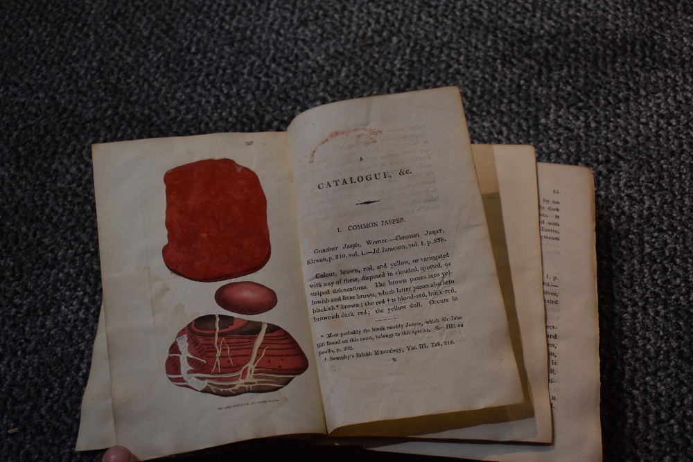 Antiquarian. A Descriptive Catalogue of the Minerals, and Fossil Organic Remains of Scarborough, and - Image 4 of 13