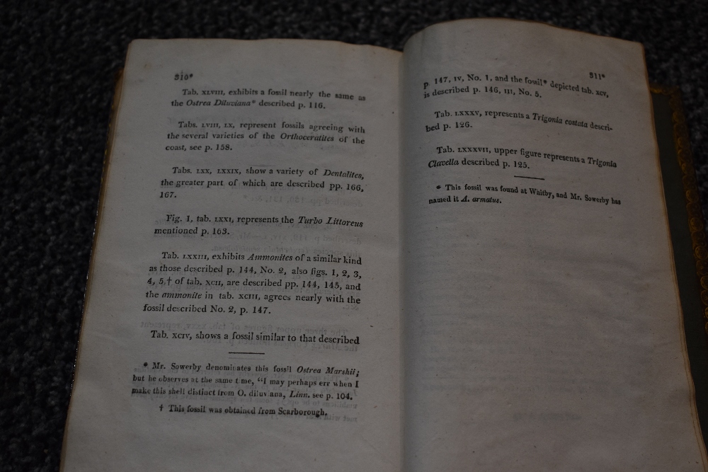 Antiquarian. A Descriptive Catalogue of the Minerals, and Fossil Organic Remains of Scarborough, and - Image 12 of 13