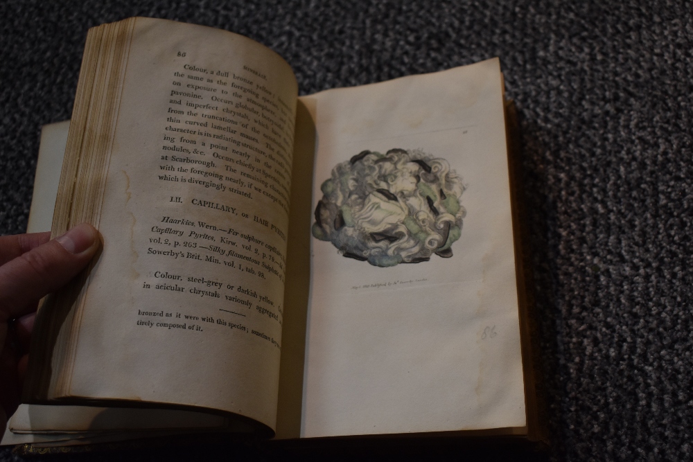 Antiquarian. A Descriptive Catalogue of the Minerals, and Fossil Organic Remains of Scarborough, and - Image 6 of 13