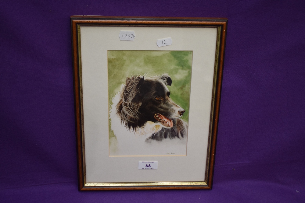 After Mary Griese (20th Century, British), coloured print, A head portrait of a Border Collie dog, - Image 2 of 4