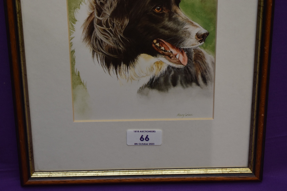After Mary Griese (20th Century, British), coloured print, A head portrait of a Border Collie dog, - Image 3 of 4