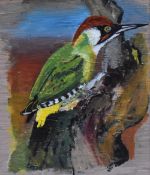 Artist Unknown (20th Century), oil on board, A portrait of a green woodpecker, signed to the lower
