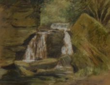 Artist Unknown (20th Century, British), chalk, A woodland waterfall study with green hues, signed