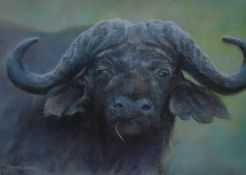 Dennis Oakes (20th Century, British), a pastel, 'Buffalo', signed to the lower left, framed,
