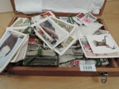 WOODEN CASE FULL OF CIGARETTE AND TRADE CARDS, TYPHOO, R J LEA, PLAYERS ETC Wooden case/box with
