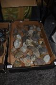 A box of specimens and minerals, to include fossils and quartz